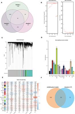 Identification and validation of m6A-GPI signatures as a novel prognostic model for colorectal cancer